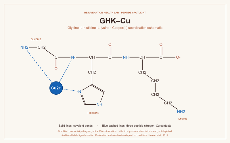 GHK-Cu: Research Overview